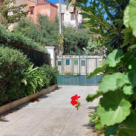 Salsedine Apartment パレルモ エクステリア 写真