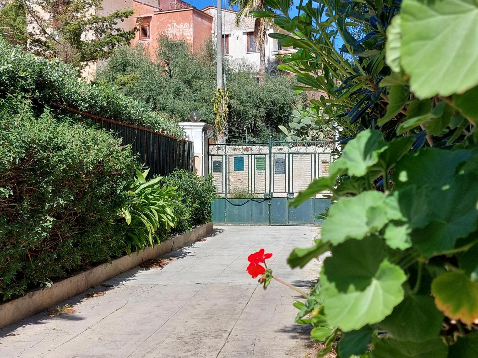 Salsedine Apartment パレルモ エクステリア 写真